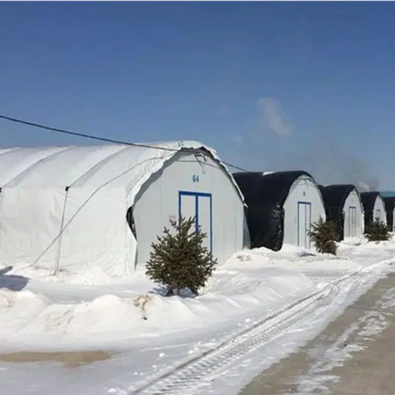 100% Blackout Single Tunnel Growing Green House for Mushroom and Medical Plants