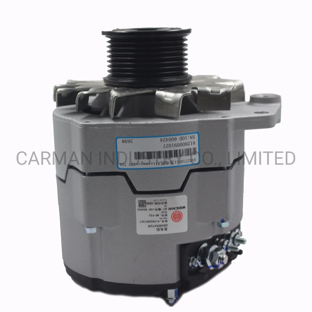 Weichai Engine Wd615 Wp10 Spare Parts Generator 612600091027 Alternator