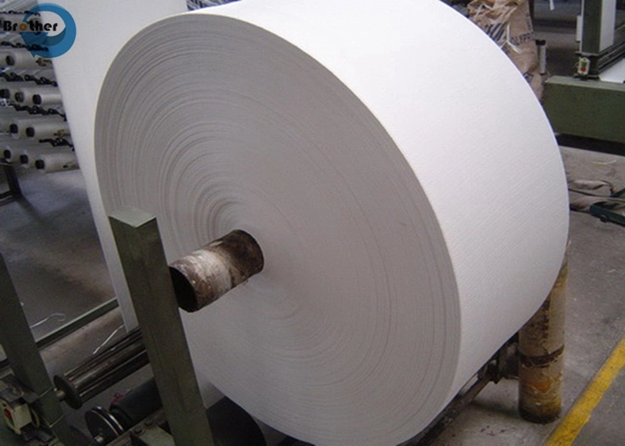 Wholesale Polypropylene Monofilament Yarn PP Woven Fabric for Big Bags in Russia