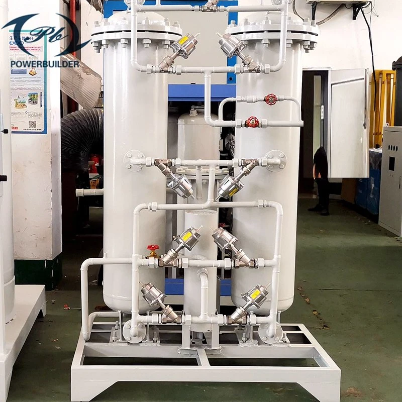 Professional Manufacturer 97%-99.999% N2 Gas Production Machine Psa Nitrogen Generator for Food Packaging