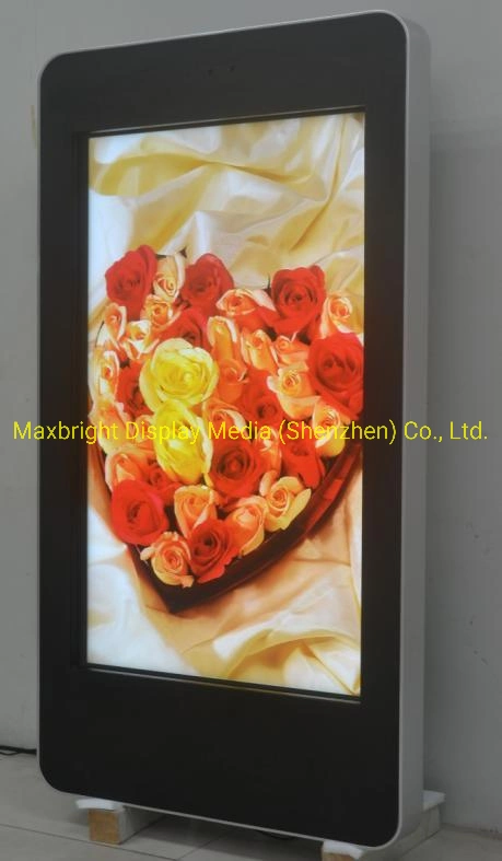 49 Inch High Brightness Outdoor Advertising Digital Signage LCD Display