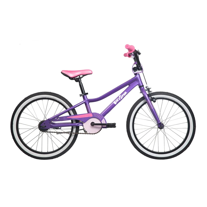 20" Inch Mountain Boys Bike for Kids Girls Red Tueb Kids Bike