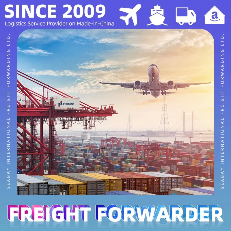 Shanghai Ocean Freight to Abu Dhabi or FCL LCL Shipping to UAE