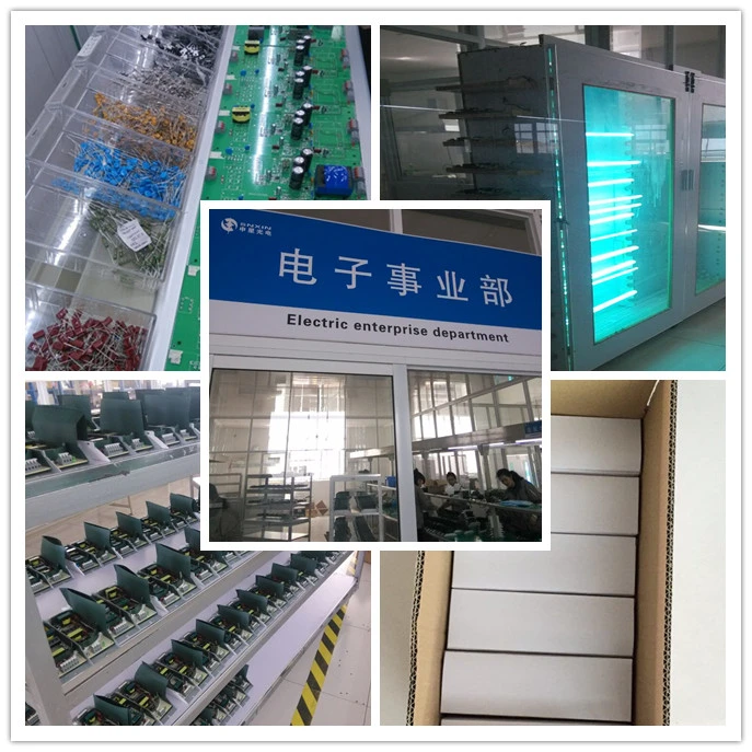 Snxin Wholesale/Supplier OEM UV Ballast 425mA 10W-55W Light Alarm Ballasts Electronic for UVC Germicidal Lamp Tubes