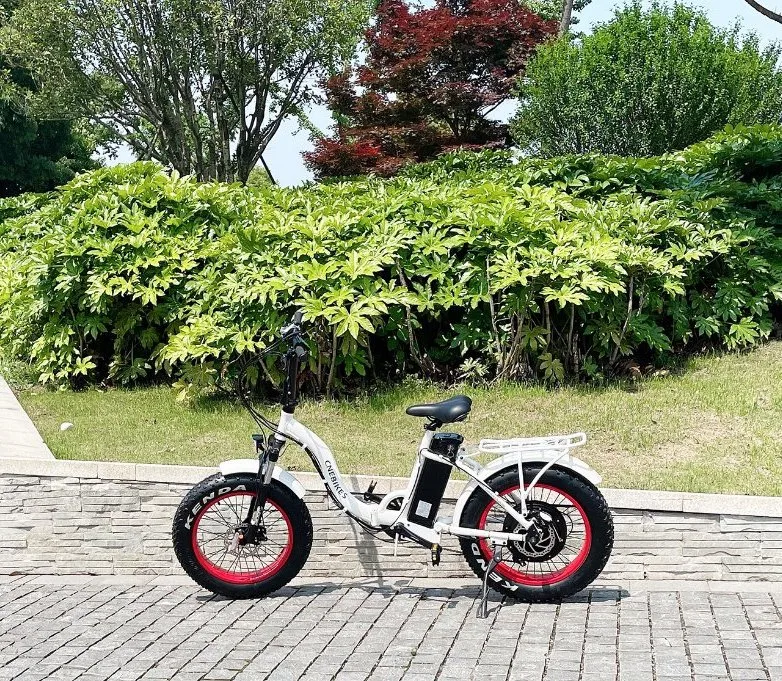 China fábrica de 20 pulgadas neumático Fat plegado 4.0 Bicicleta eléctrica 48 V/500W Ebike adultos