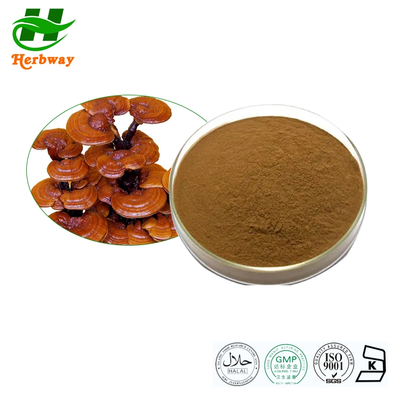 Herbway Reishi Mushroom Extract Ganoderma Lucidum (Leyss ex Fr.) Karst Extract10%30%50% Polysaccharides