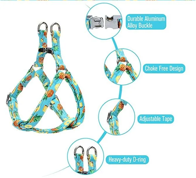 High quality/High cost performance  Easy Carry Pet Clothes 3 in 1 Summer Dog Harness