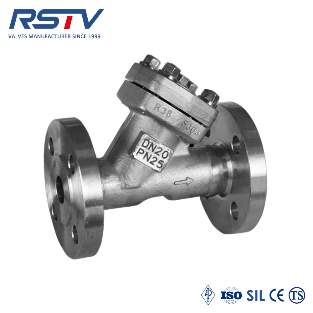 Stainless Steel/Wcb Filter Flange RF Water Y Type Strainer