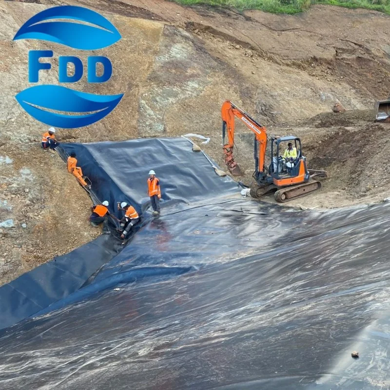 FDD Geomembrane HDPE Geomembrane for Course Lake/Landfill Capping/Mining Project Installation