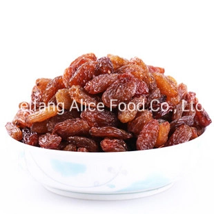 De bonne qualité en vrac chinoise du Xinjiang raisins secs sultanines rouge