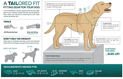 Faisceau de chien pour les animaux de compagnie le harnais de sécurité inclus de ceinture de sécurité de voiture