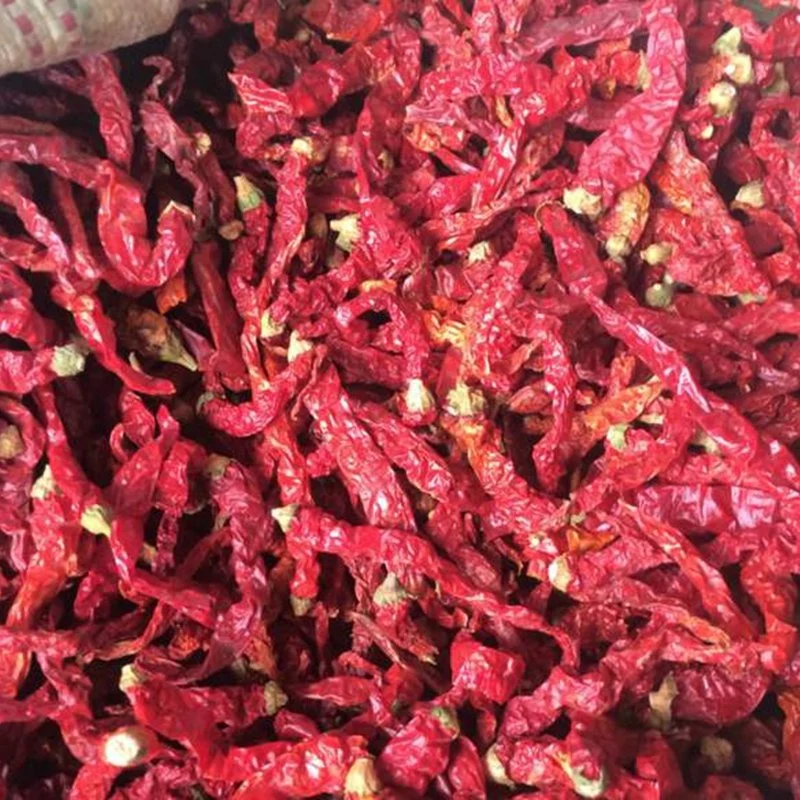 De pimenta vermelha em pó Colorau Tempero Quente Pimenta secas alimentação China