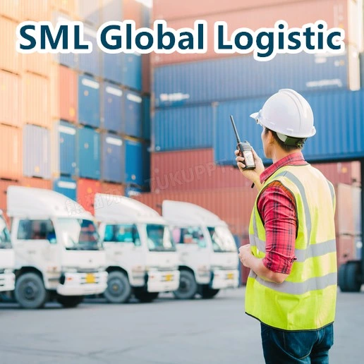 Sea Shipping Cargo Ship Best Shipping Agent Service Air Freight to Sri Lanka Bahrain Express Delivery Shipping Agent Air Cargo