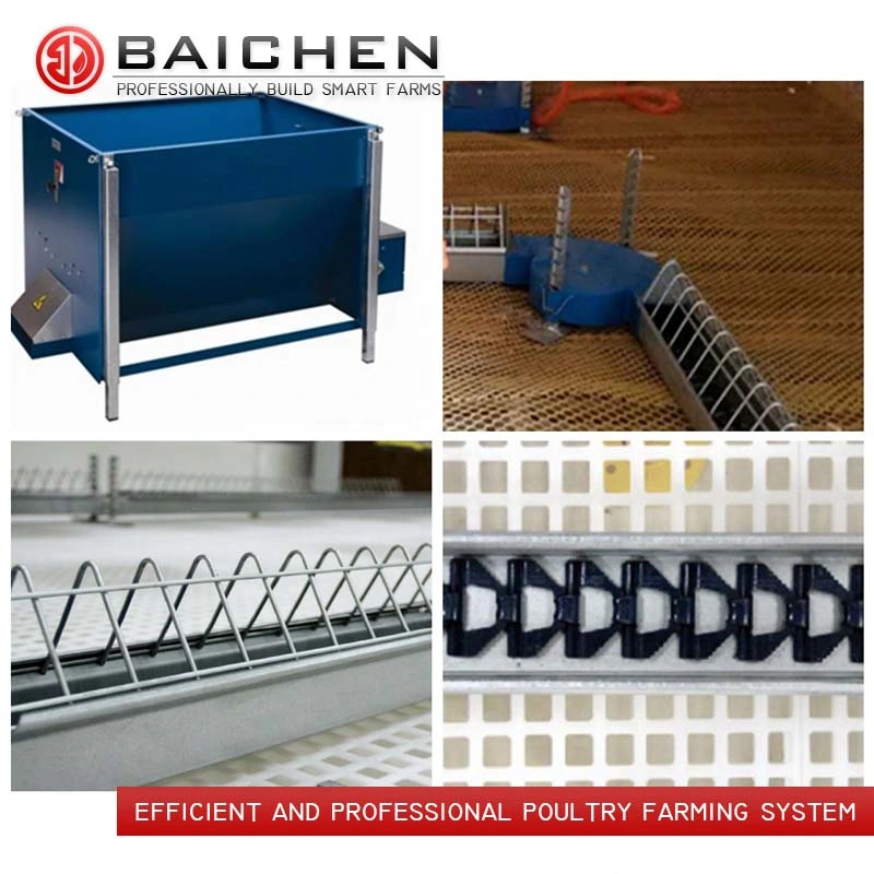 Automatic Poultry Chain Feeder Equipment Breeder Chickens Feeding Line Farm House System