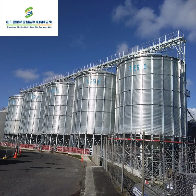 Granja de maíz de almacenamiento utilizado el sistema de silo de alimentación de 500 toneladas de acero galvanizado en caliente de 1.000 toneladas de los precios de Silo de grano