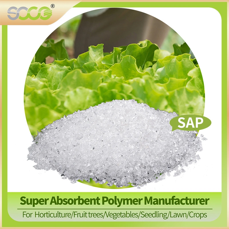 Polvo SAP, poliacrilato de potasio hidrogel, poliacrilato de sodio gel de agua, Super absorbente fabricante de polímeros Para Agricultura/hortalizas/Frutas/Horticultura/cultivo