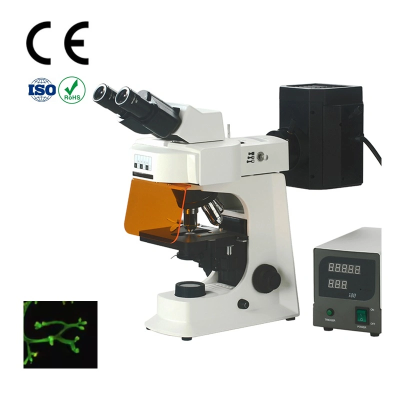 Smart-FL2 Binocular Biologic Digital Electronical Fluorescence Microscope for Lab