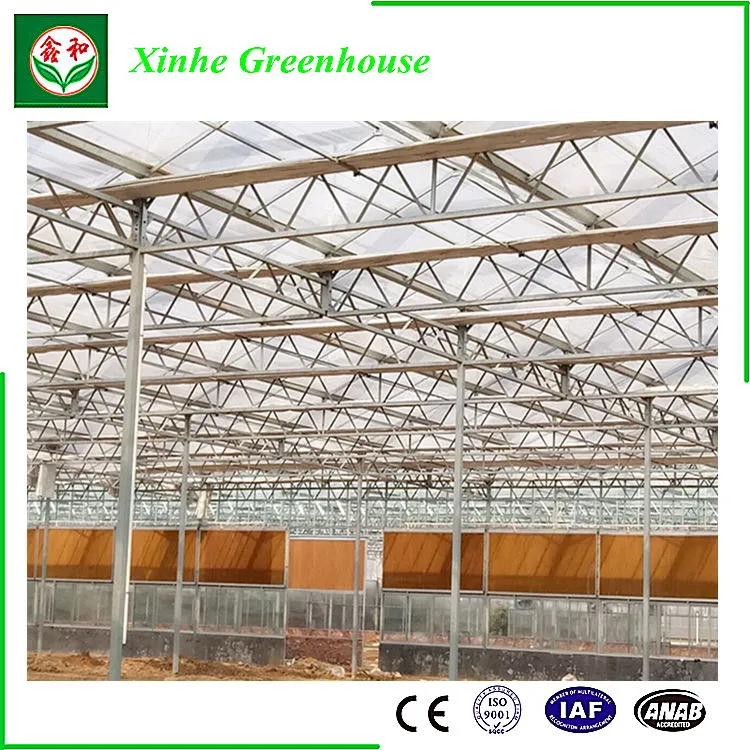 Greet Eeconomic Benefit PC Sheet Greenhouse for Planting