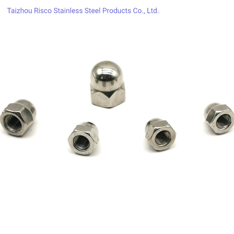 A2-70 A4-70/80 SS304/316 Chinese Manufacturer Fastener Cap Nut