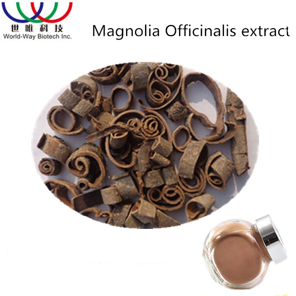 Hot Sale Healthy Food Top Factory Supply Quality Magnolia Officinalis Extract Powder