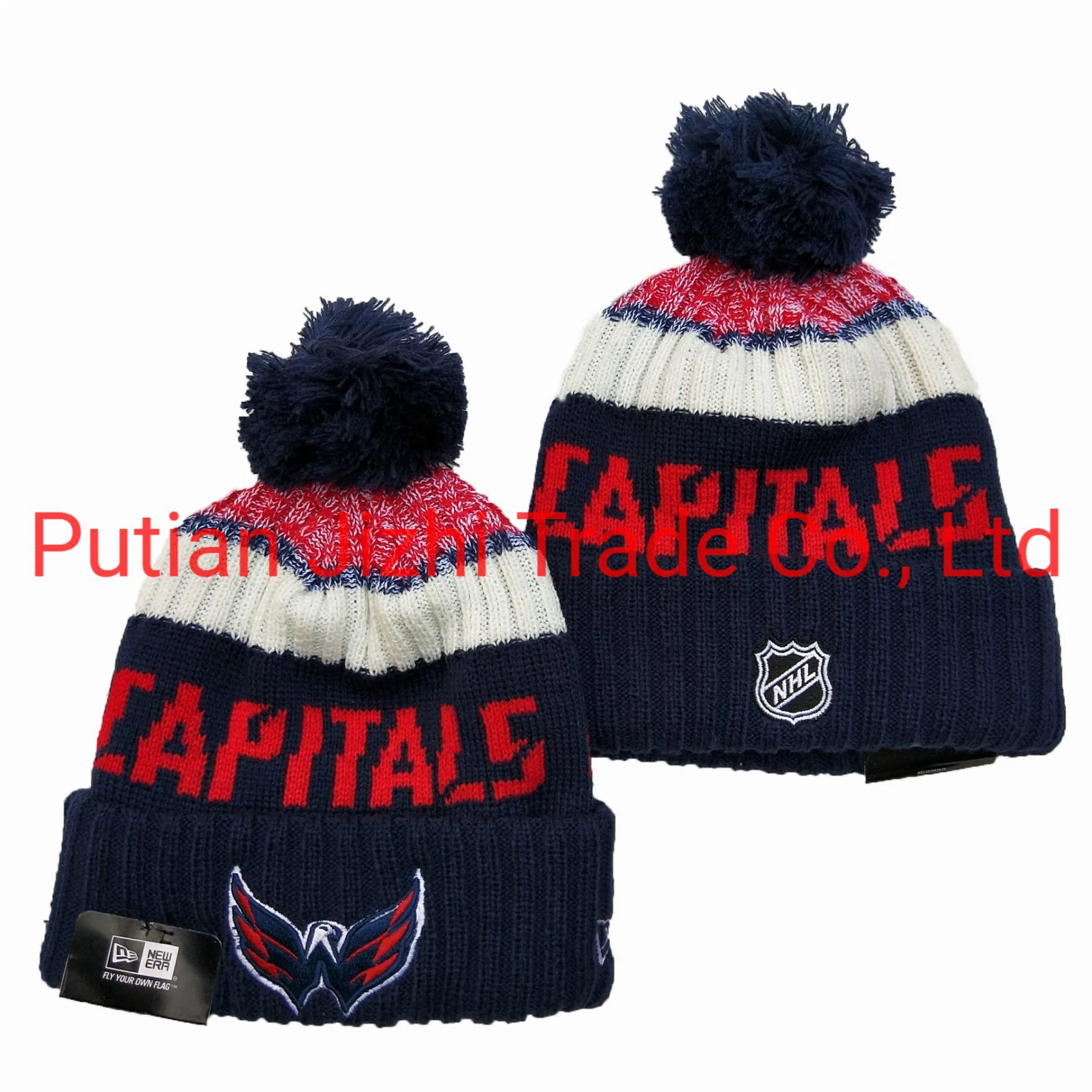 Wholesale/Supplier Beanies Hats Tampa Bay Lightning Knit Winter Cap Dalls Stars Florida Panthers with POM