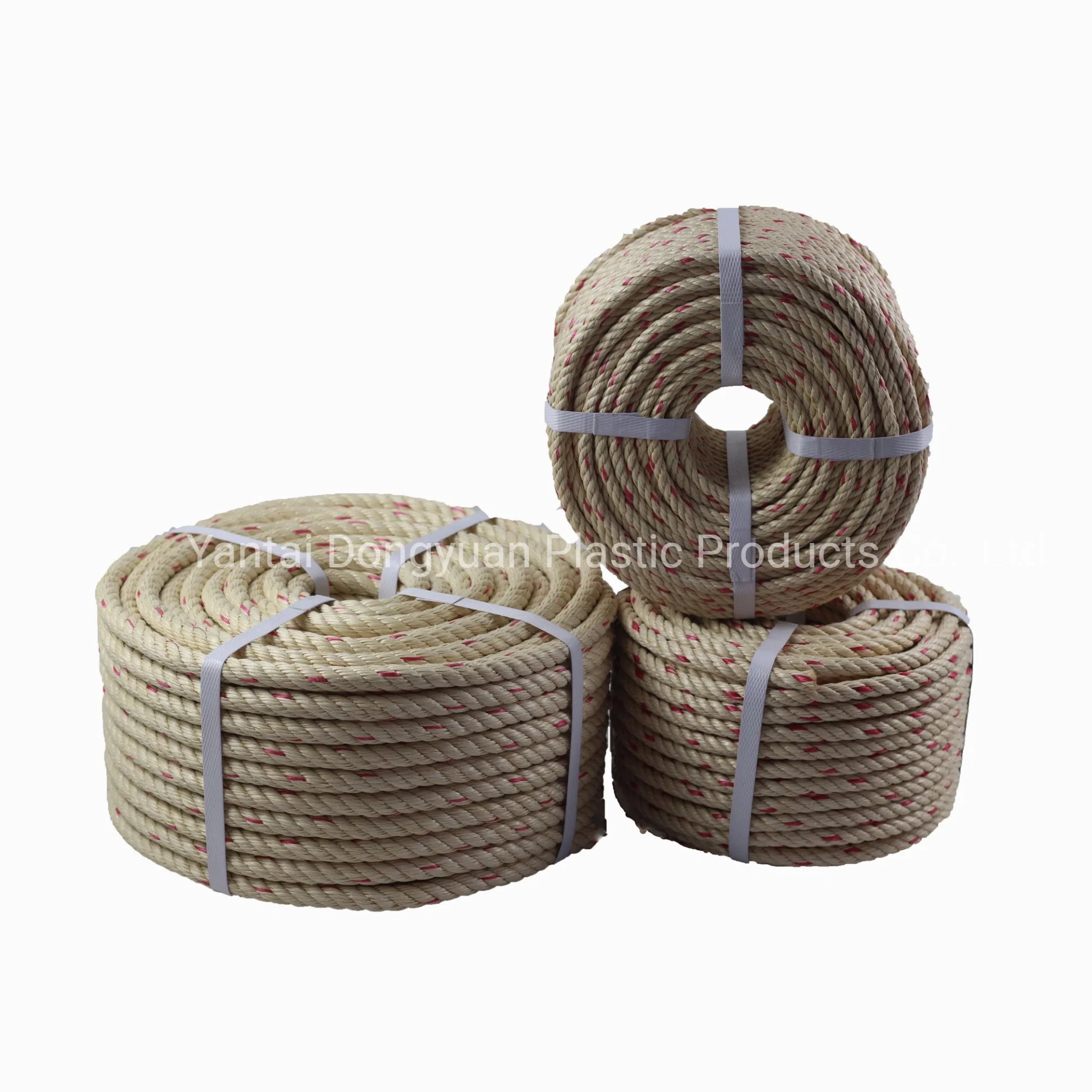 Polypropylene Danline Rope 6mm 8mm 10mm 12mm 14mm 16mm PP Ropes with Packing in Reel and Roll