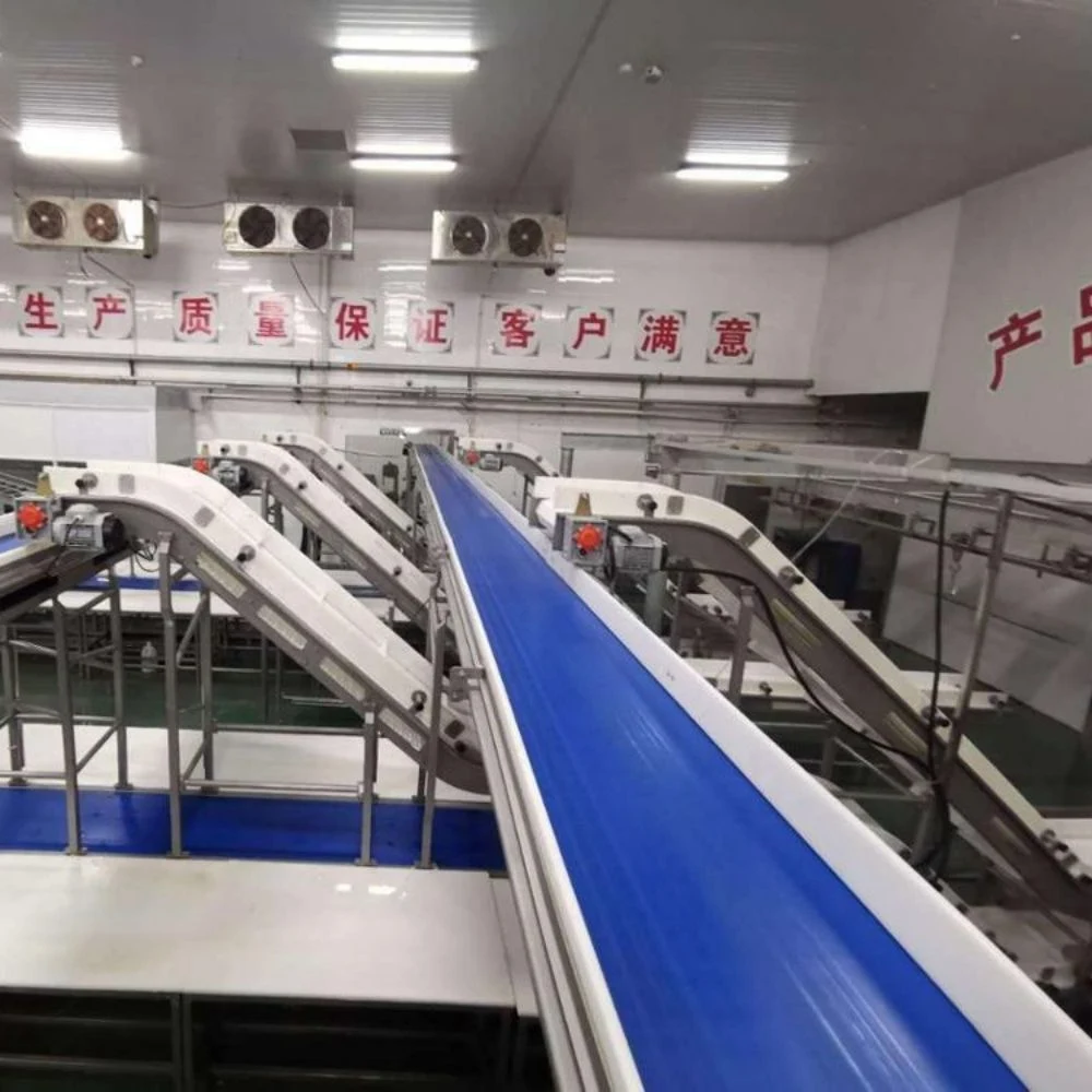 Beef Meat Trimming Conveyor Line in Slaughter House