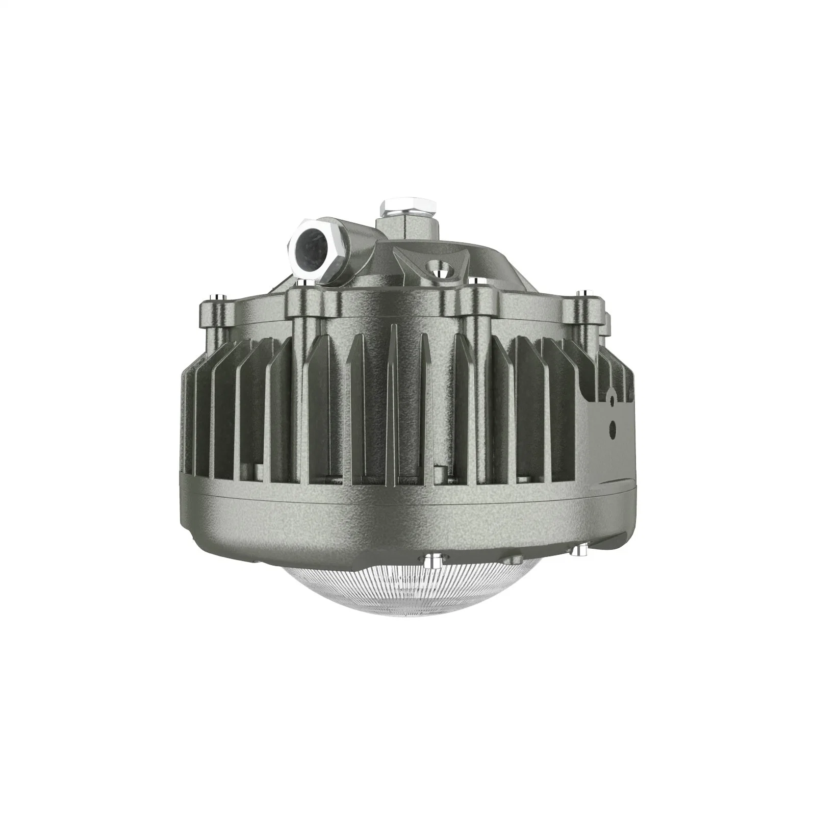 Ex dB Iic T6 Ex-Proof Pendant Lamp for Zone1 Hazardous Location