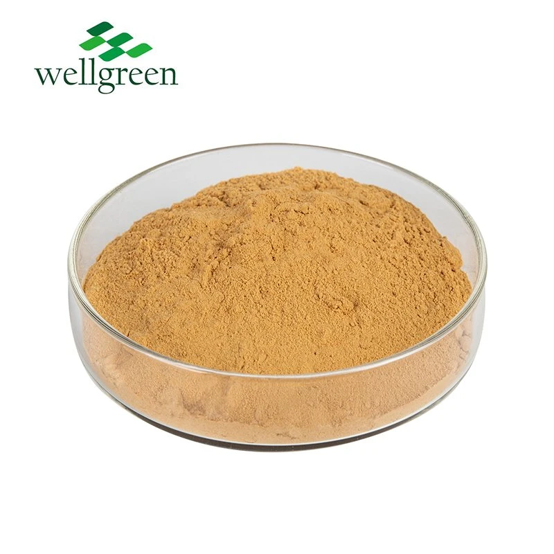 Wholesale 80% Silibin Silymarin Powder Milk Thistle Extract