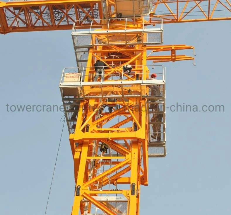 China Construcción Mecánica grúa torre 10 Ton Qtz125 de 65m de la pluma de la grúa torre de martillo