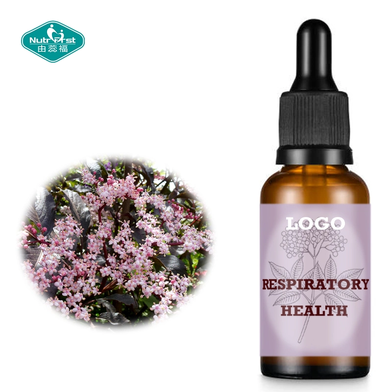 Support immunitaire Black Elderberry vitamine C gouttes liquides pour Upper Santé respiratoire