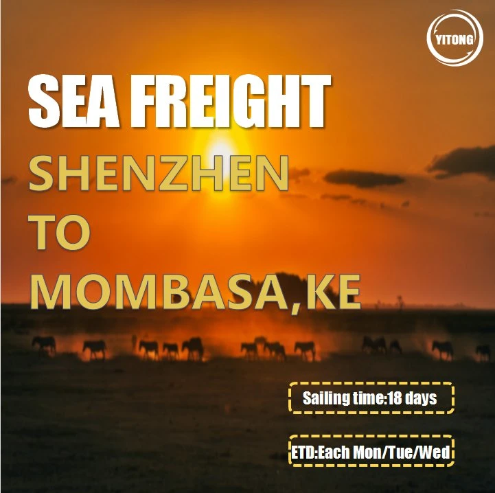 FCL Sea Shipping Agent From Qingdao to Mombasa Kenya