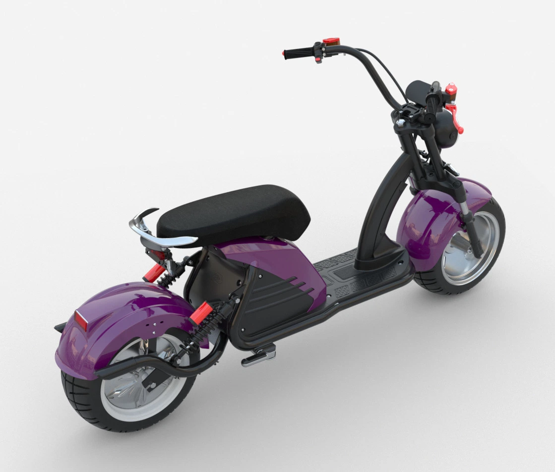 2000W/3000W 10 pouces/12 pouces Scooter électrique Citycoco pour adultes Nouvelle moto électrique EEC.