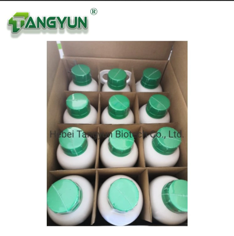 Emamectin Benzoate 6%Ec 7.2%Ec High Effect Insecticide Broad Spectrum