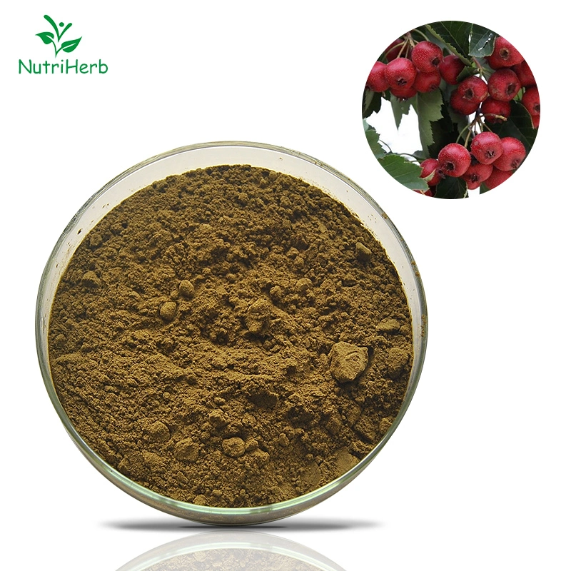 Free Sample 5% Flavones Hawthorn Fruit Extract Hawthorn Berry Extract Powder