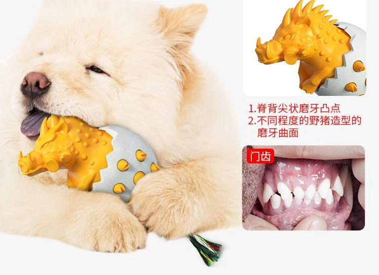 New Design Pet Product Plastic Dog Toys for Remove Dental Calculus