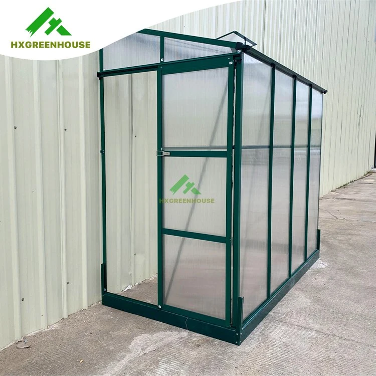 Bigger Size Polycarbonate Greenhouse Widely Used Vegetables Seeds Planting Hx65128