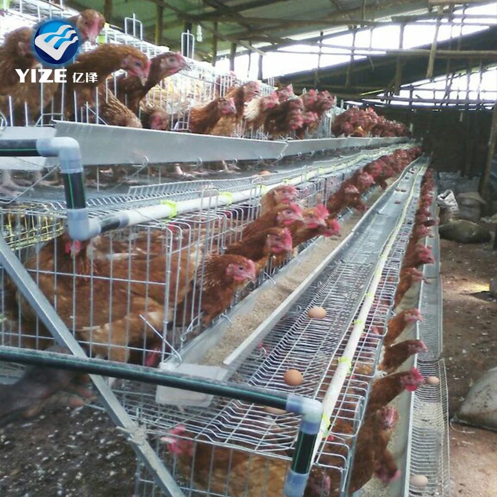 Hot Sale 96 / 160 Birds 3 / 4 Layers Poultry Chicken Feeding Cages System