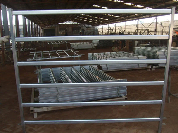 China Used Cattle Panels (with ISO9001 & SGS)