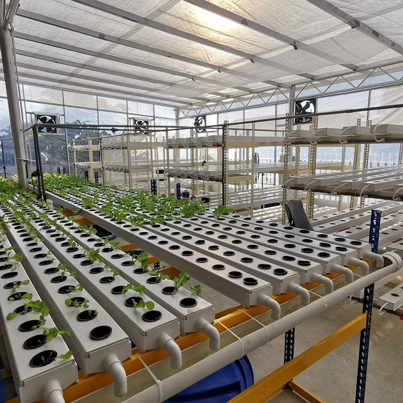 Agriculture Greenhouse Hydroponic System Nft Channel Hydroponic Growing System