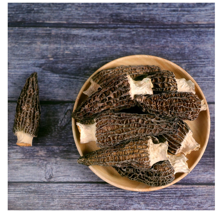 Yang Du Jun Bio Natürliche Großhandel/Lieferant Gesundheit Lebensmittel Produkte Wild Black Morel Pilz