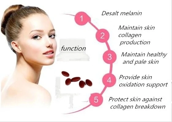 Skin Care Hyaluronic Acid Collagen Softgels Beauty Care Best Quality Customerised