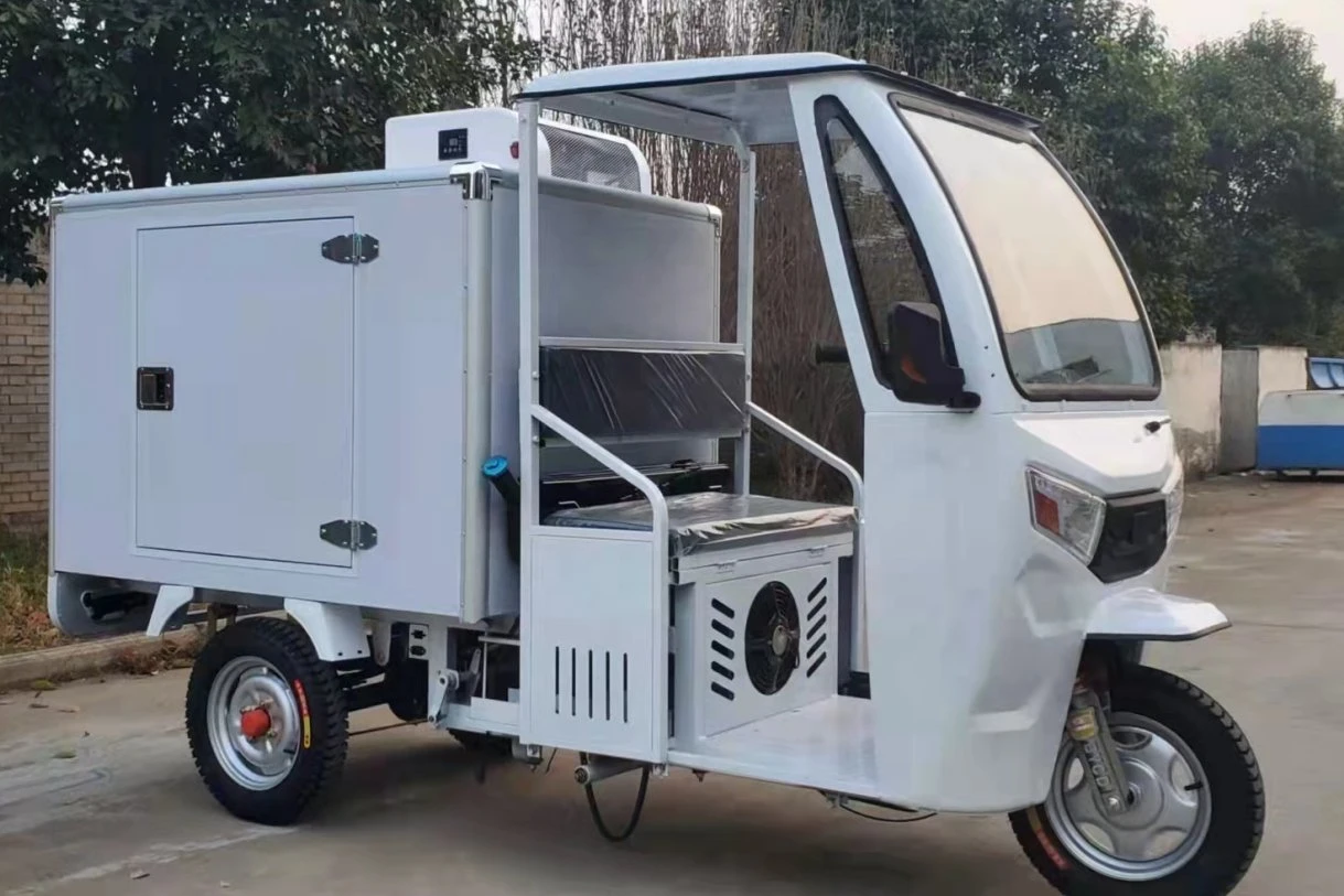 Mejor nevera Mini triciclo eléctrico eléctrico Carretilla elevadora con la caja de carga