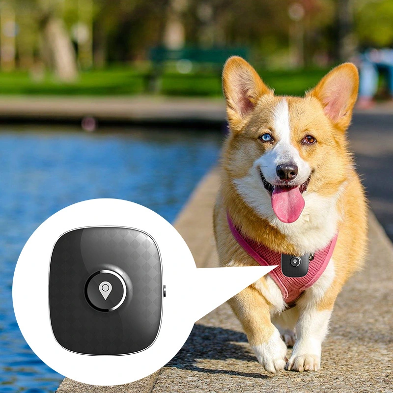 Anti-Theft Antimagnetic Waterproof Pet Cat and Dog Stray GPS Locator Tracker