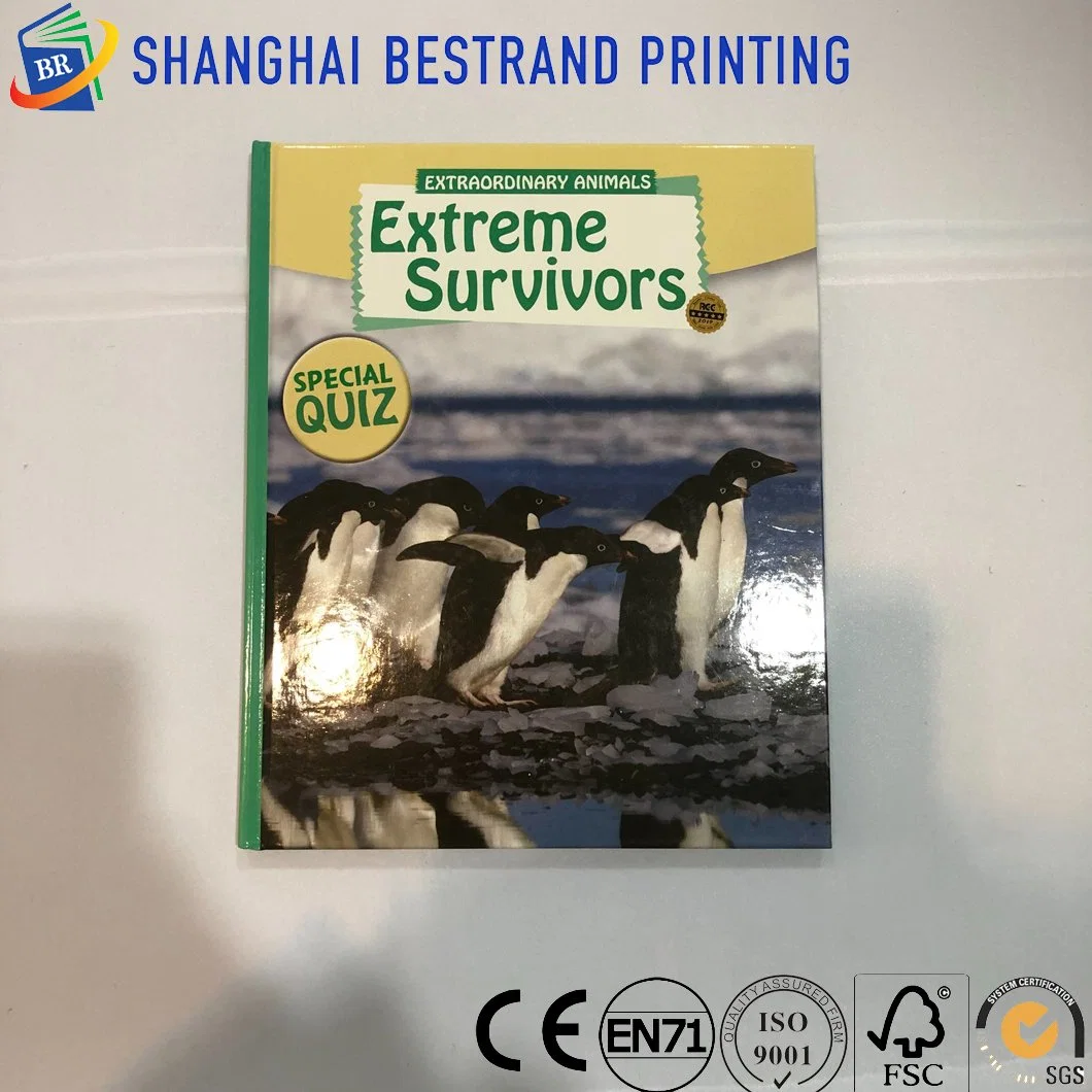 High quality/High cost performance Children Book Printing with Handle