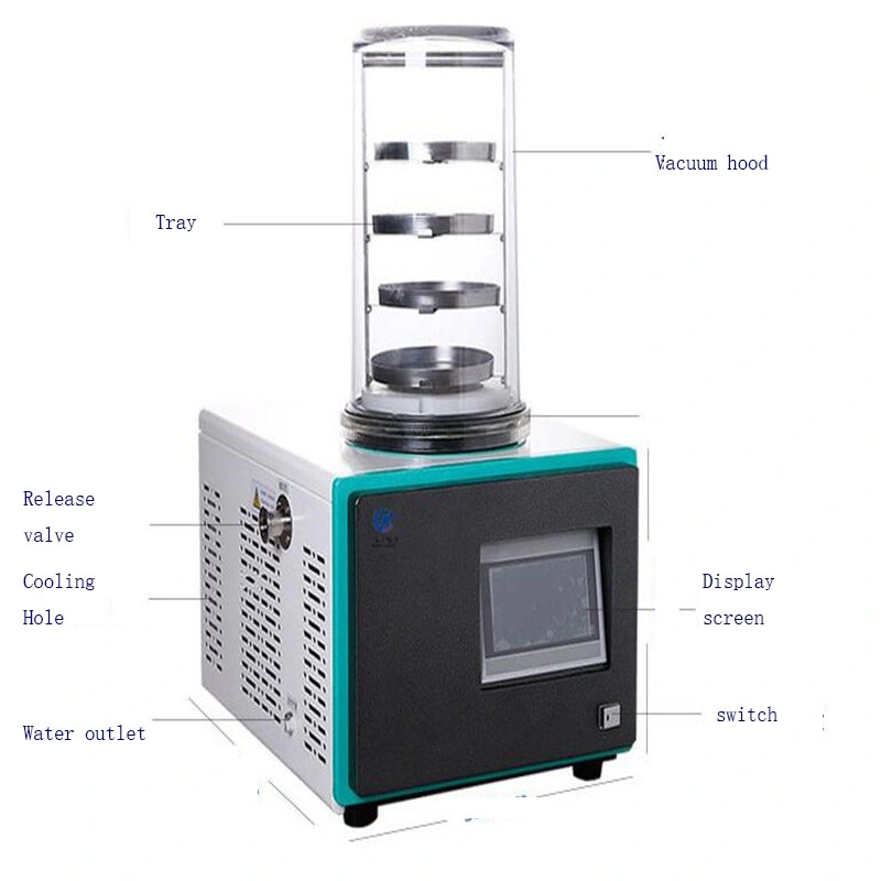 Small Vacuum Freeze Drying Machine Vertical Lyophilizer Freeze Dryer Equipment Use for Fruit and Vegetables