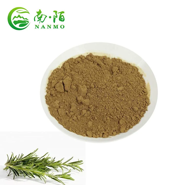 100% Pure Natural Rosemary Extract Organic Health Powder High Quality Plant Extract in Personal Care