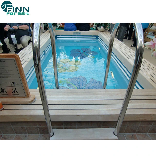 High quality/High cost performance  Stainless Steel Handrail Ladder for Swimming Pools