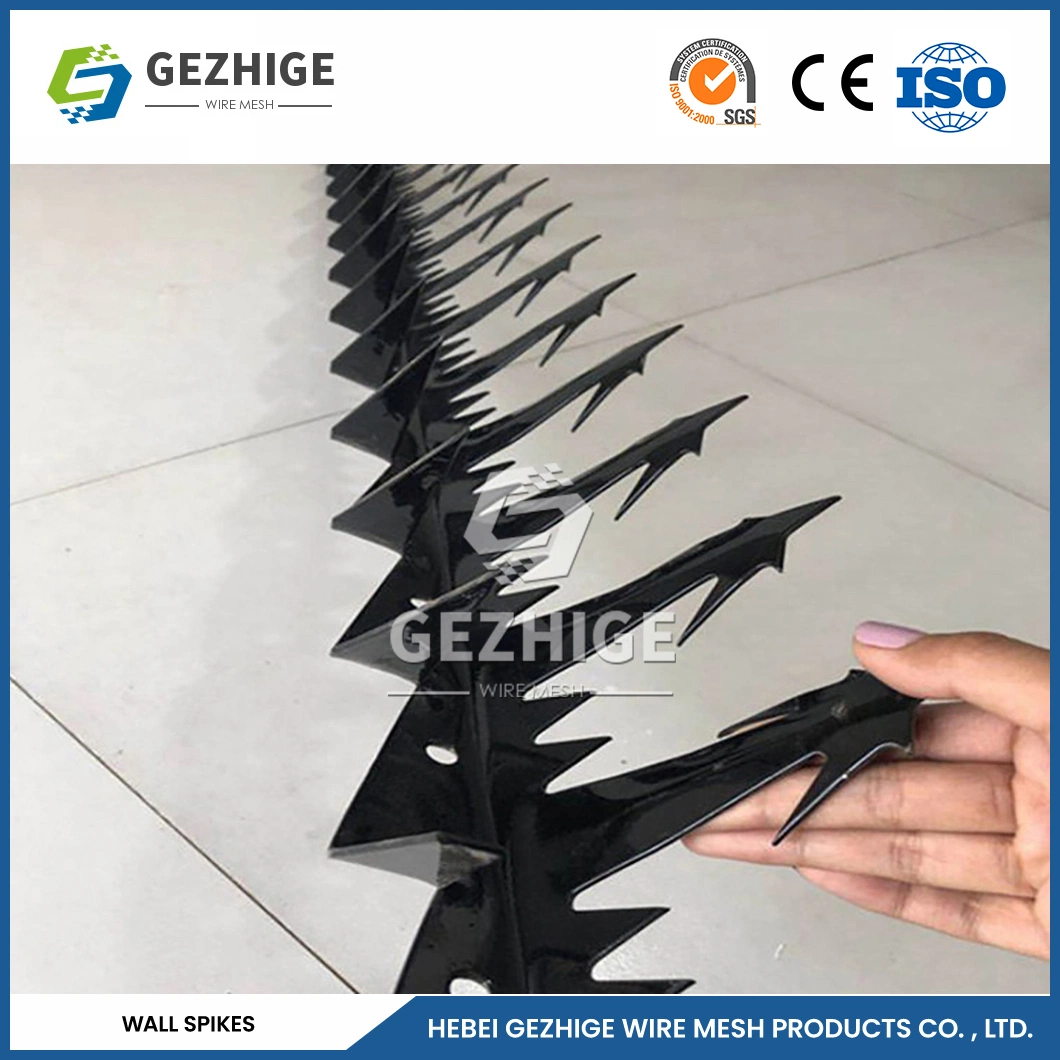 Gezhige Standard Razors Spikes Suppliers 10cm Blade Spacing Protection Wall Spikes China 20cm Blade Length Security Anti Climb Spikes