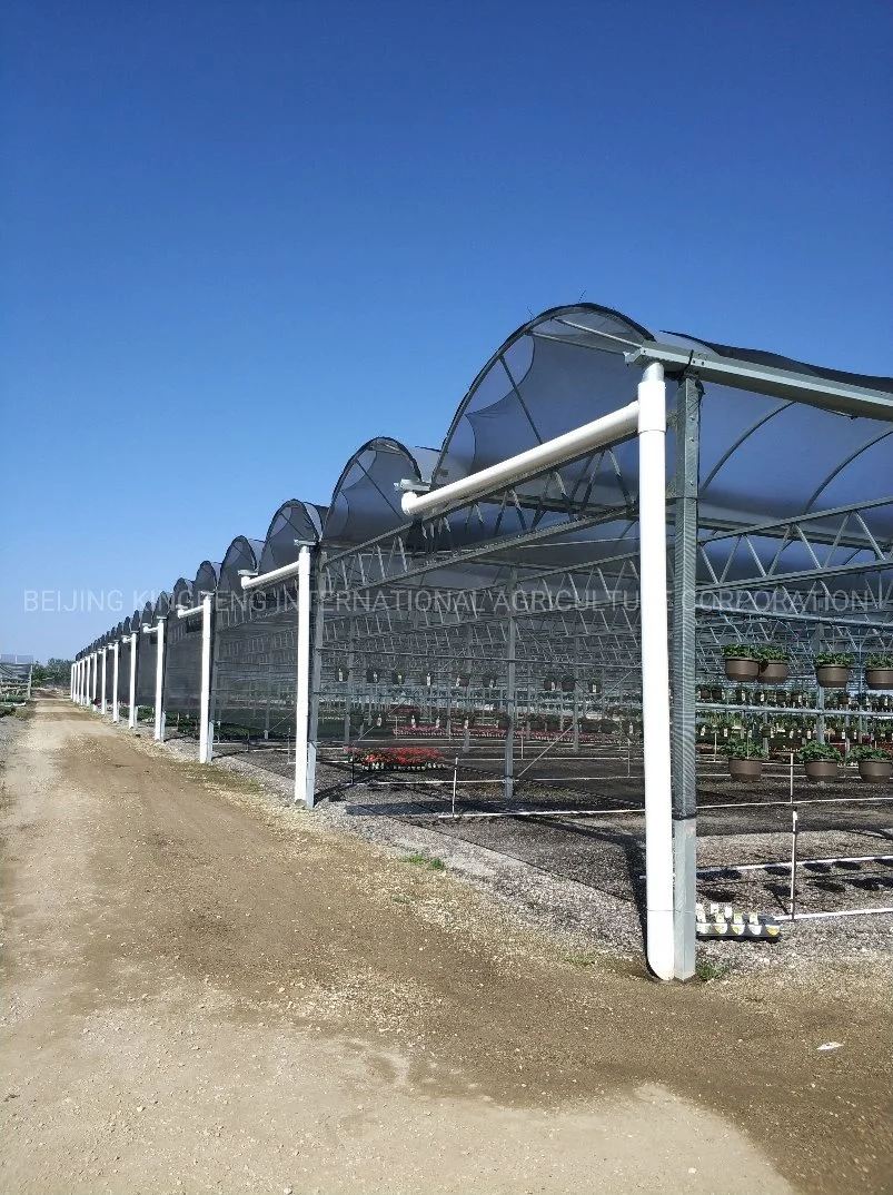 Perfil de acero de galvanización Hot-Dipped Tomate de invernadero de jardín de flores